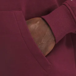 Hoodies & Sweatshirts|Reebok Hoodies & Sweatshirts Classics Brand Proud Hoodie