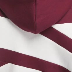 Hoodies & Sweatshirts|Reebok Hoodies & Sweatshirts Classics Brand Proud Hoodie