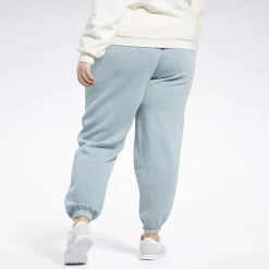 Pants & Sweatpants|Reebok Pants & Sweatpants Classics Natural Dye Fleece Pants (Plus Size)