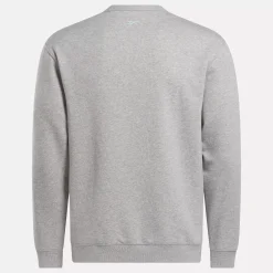 Hoodies & Sweatshirts|Reebok Hoodies & Sweatshirts Harry Potter Crew Sweatshirt