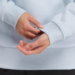 Hoodies & Sweatshirts|Reebok Hoodies & Sweatshirts Lux Oversized Hoodie