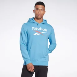 Hoodies & Sweatshirts|Reebok Hoodies & Sweatshirts Identity Big Logo Hoodie
